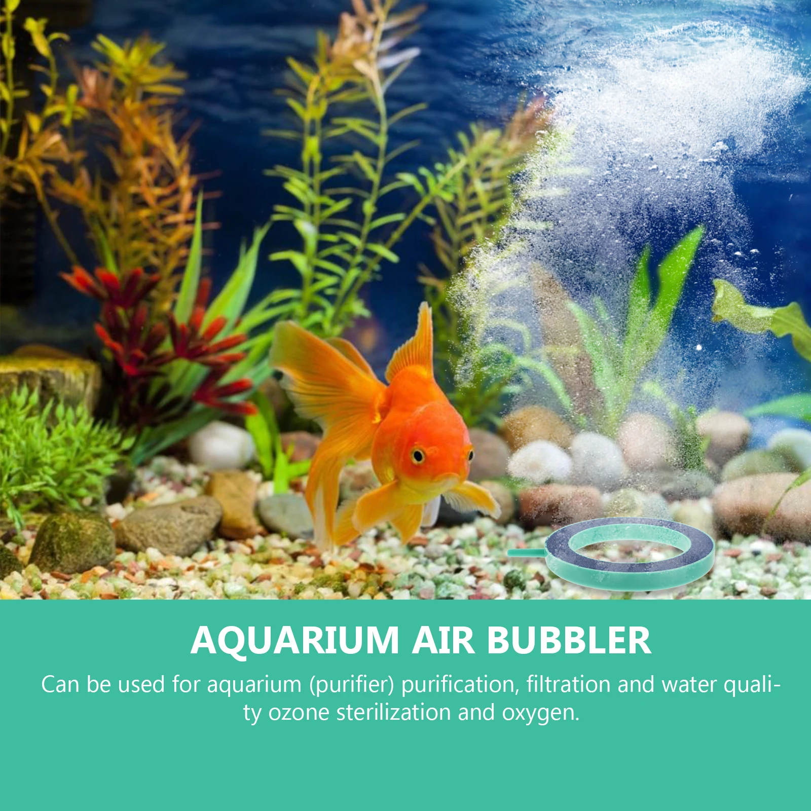 2 Pcs Tank Oxygen Diffuser Aquarium Air Stone Oxygen Diffuser Creative Bubble Decor Green Pet Supplies
2 Pcs Tank Oxygen Diffuser Aquarium Air Stone Oxygen Diffuser Creative Bubble Decor Green Pet Supplies