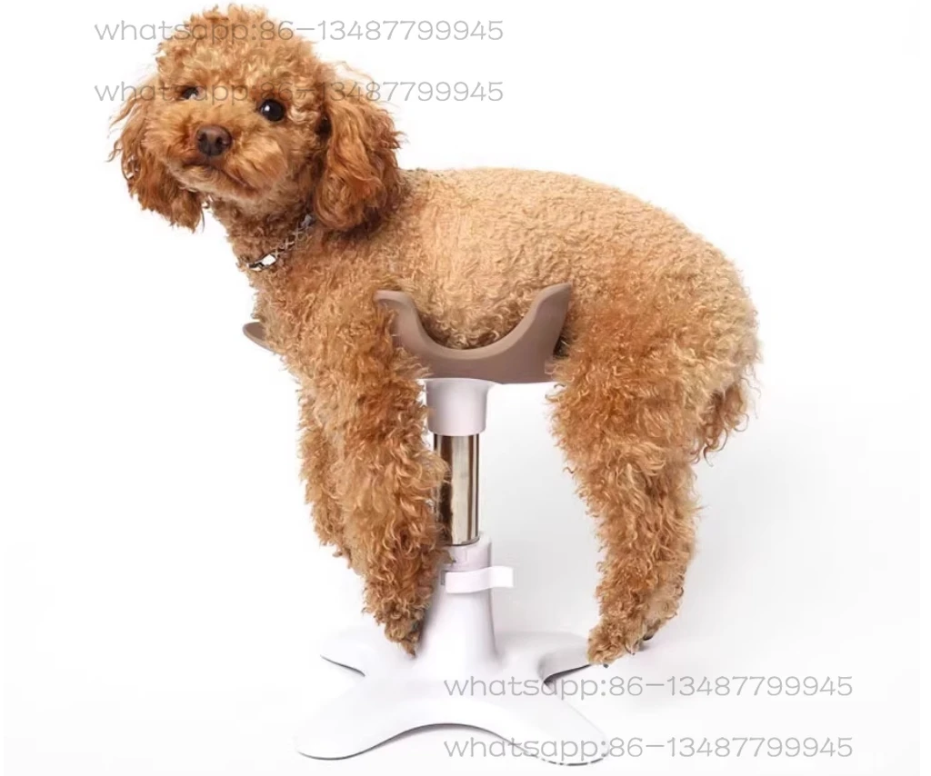 Pet bath holder, fixed table, hair dryer, beauty fixed table, base, shelf, beauty upright, floor standing
Pet bath holder, fixed table, hair dryer, beauty fixed table, base, shelf, beauty upright, floor standing