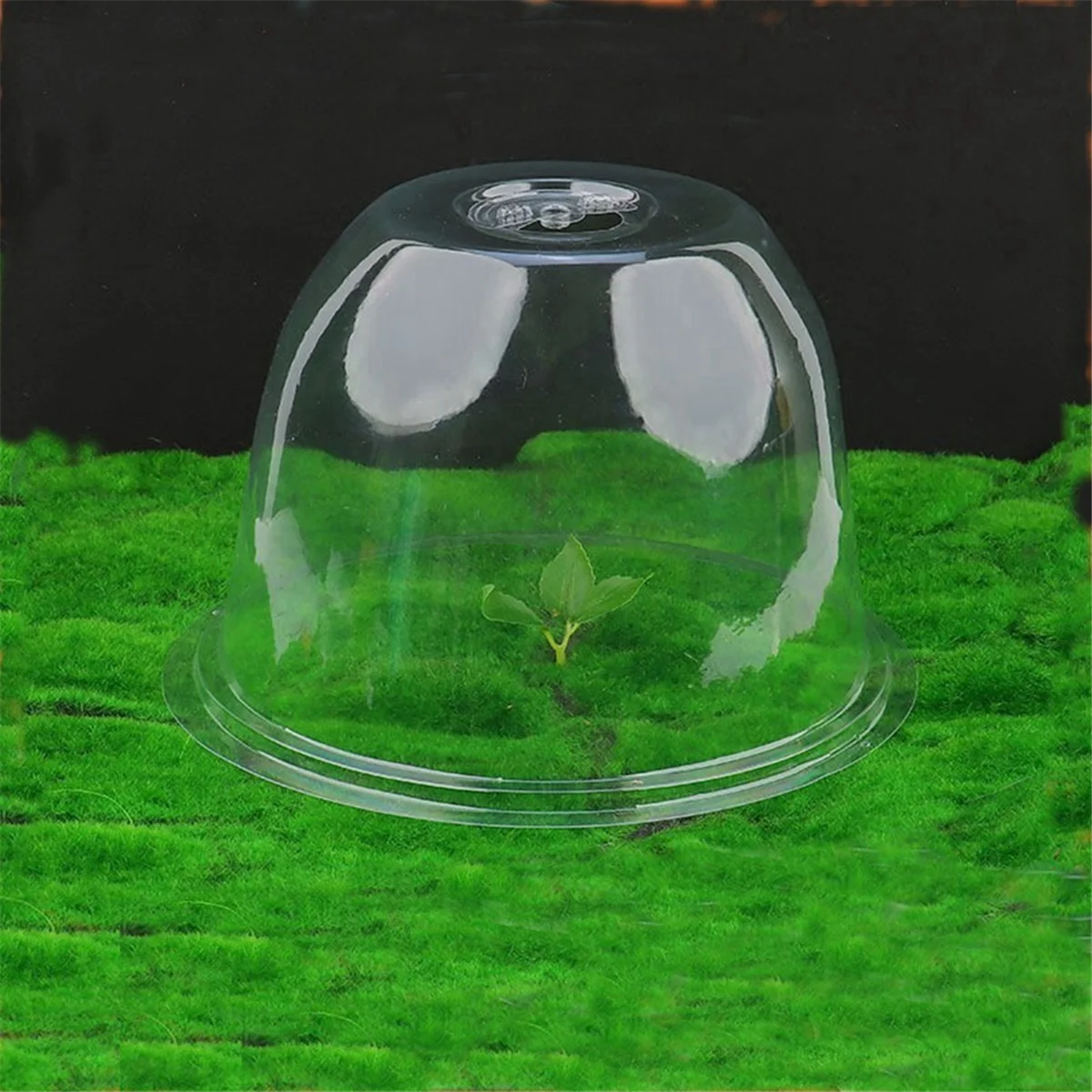 A002 6pcs Garden Plant Dome Reusable Plant Protector Cover Garden Plant Bell Cover for Outdoors Vegetable Covering
A002 6pcs Garden Plant Dome Reusable Plant Protector Cover Garden Plant Bell Cover for Outdoors Vegetable Covering