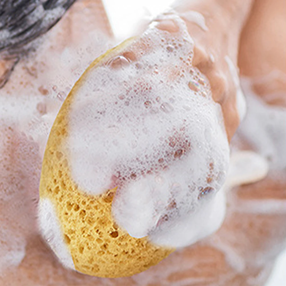 2 Pcs Bath Sponge for Shower Body Scrubber Sea Sponges Seaweed Exfoliating Cleansing Tool Sponges for Men Kids
2 Pcs Bath Sponge for Shower Body Scrubber Sea Sponges Seaweed Exfoliating Cleansing Tool Sponges for Men Kids