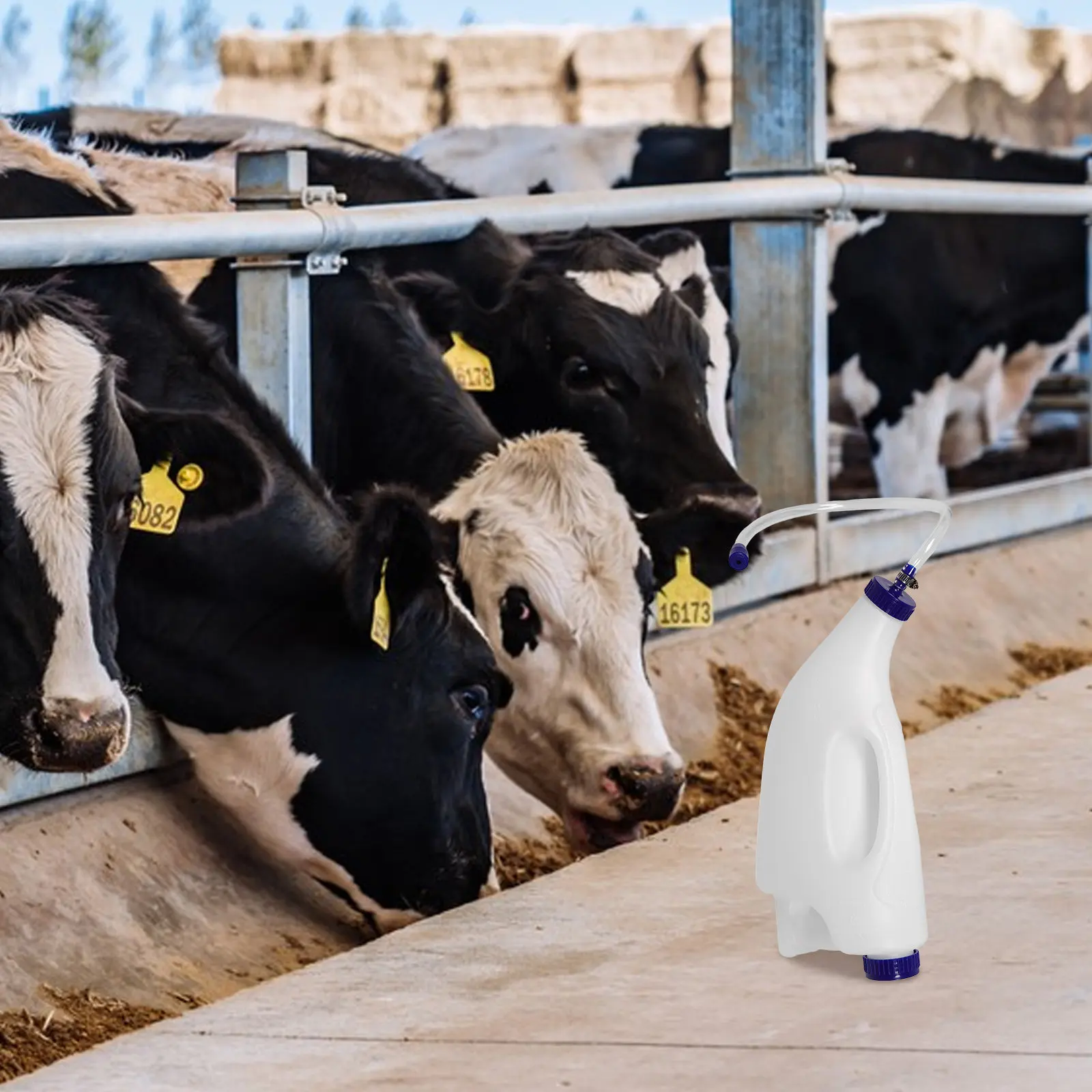 1Set Calf Tube Feeder Special Nursing Bottle Large Capacity Precise Feeding Control Easy Clean Newborn Calf Colostrum Feeding
1Set Calf Tube Feeder Special Nursing Bottle Large Capacity Precise Feeding Control Easy Clean Newborn Calf Colostrum Feeding