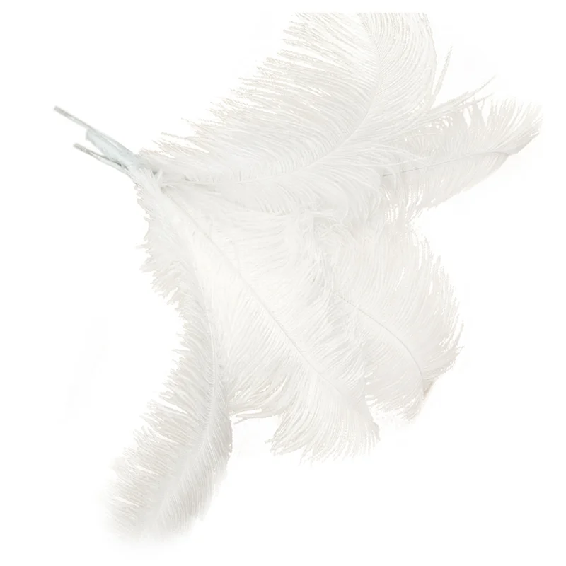 ABWP-60 Pcs Natural Ostrich Feathers Wedding Party Decoration White 45-50Cm
ABWP-60 Pcs Natural Ostrich Feathers Wedding Party Decoration White 45-50Cm