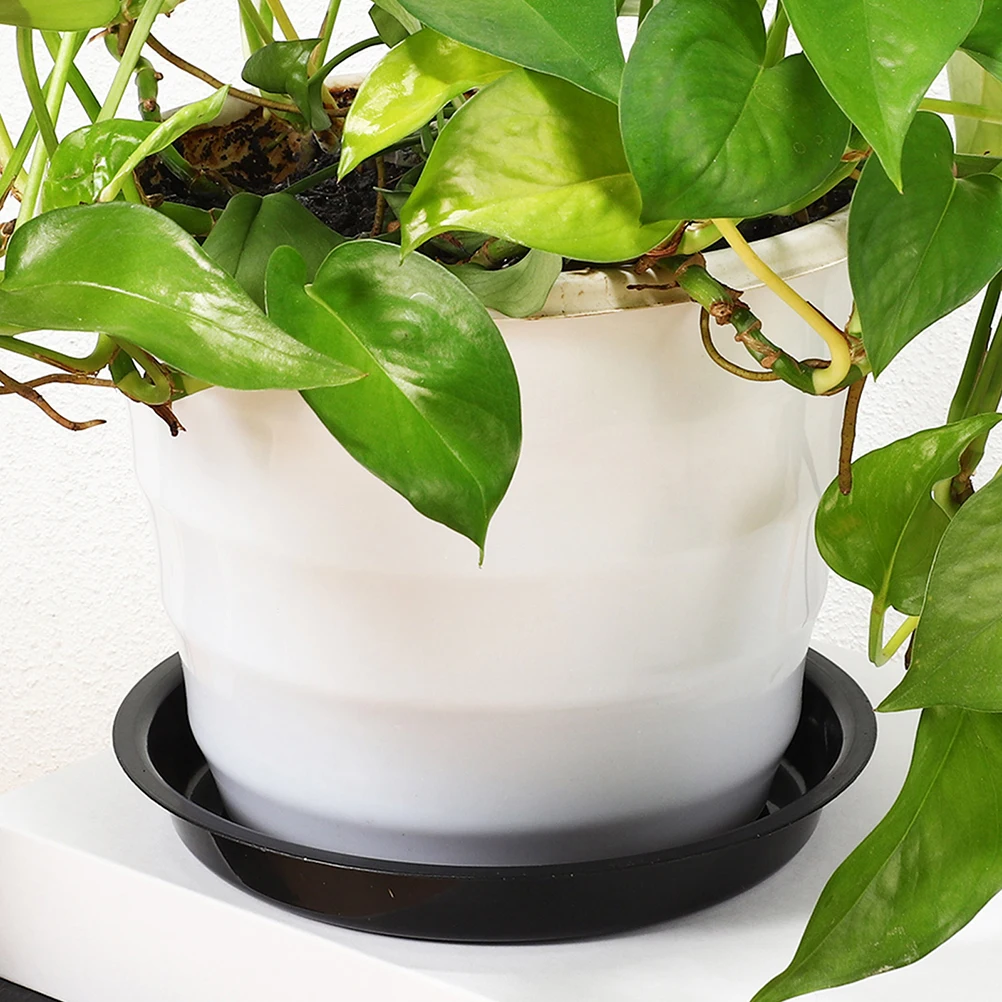 16pcs Plastic Plant Trays Flowerpot Water Saucers Thickened PP Material Durable Flower Pot Tray Garden Tool
16pcs Plastic Plant Trays Flowerpot Water Saucers Thickened PP Material Durable Flower Pot Tray Garden Tool