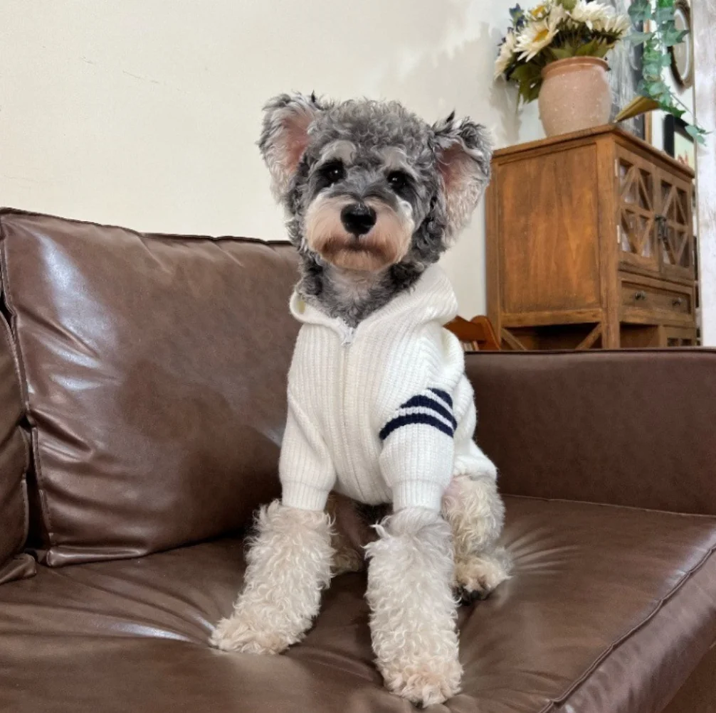 Newly Designed Knitted Zipper Pet Coat British Gentleman Style Providing Warmth Dog Sweater Winter
Newly Designed Knitted Zipper Pet Coat British Gentleman Style Providing Warmth Dog Sweater Winter