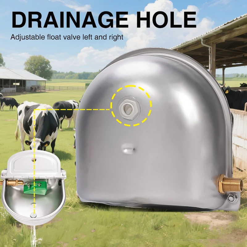 Stainless Steel Automatic Cow Water Bowls Drinking Bowls Dog Cattle Sheep Float Bowl Goat Drinker Farm Grade Water Outlet
Stainless Steel Automatic Cow Water Bowls Drinking Bowls Dog Cattle Sheep Float Bowl Goat Drinker Farm Grade Water Outlet
