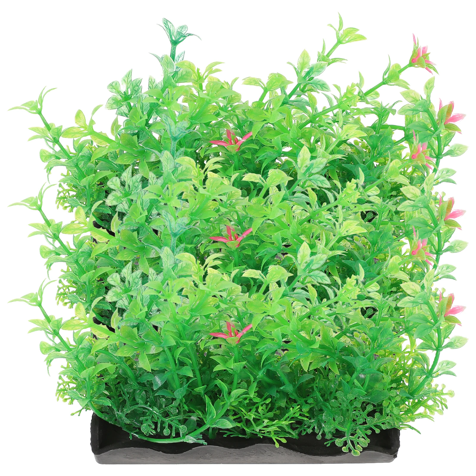 3pcs Plastic Flower Grass Decoration for Fish Tank Aquarium Plants Accessories Realistic Artificial Decor NonFade Safe Sturdy
3pcs Plastic Flower Grass Decoration for Fish Tank Aquarium Plants Accessories Realistic Artificial Decor NonFade Safe Sturdy