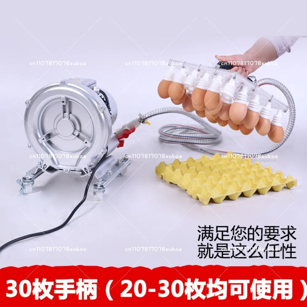 30-piece Egg Suction Device Handheld Automatic Manual Egg Suction Device Collection Packing Picking Vacuum Handling Machine
30-piece Egg Suction Device Handheld Automatic Manual Egg Suction Device Collection Packing Picking Vacuum Handling Machine