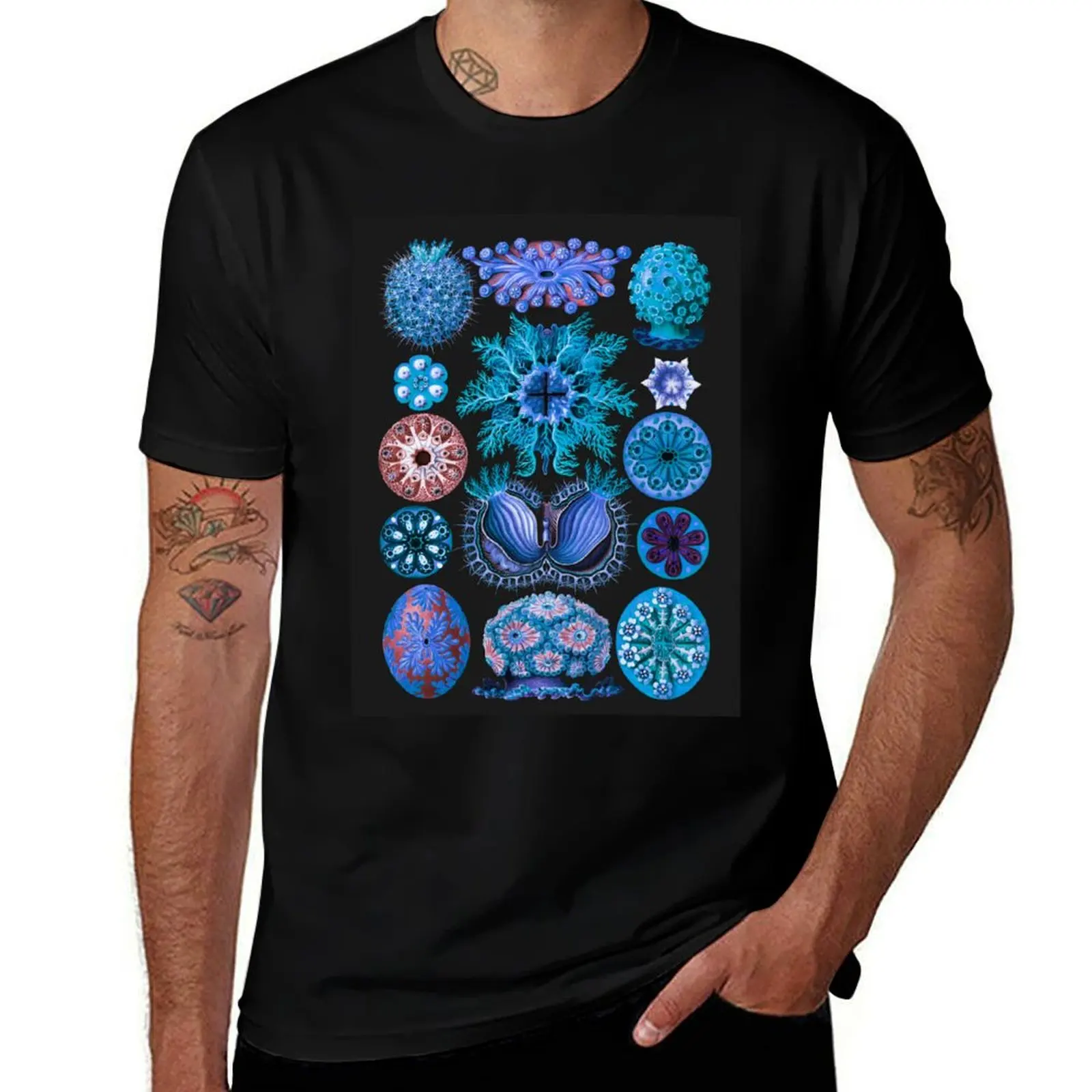 Blue: Haeckel Ascidiae T-Shirt vintage graphic tee valentines boutique clothes plus size men clothing
Blue: Haeckel Ascidiae T-Shirt vintage graphic tee valentines boutique clothes plus size men clothing