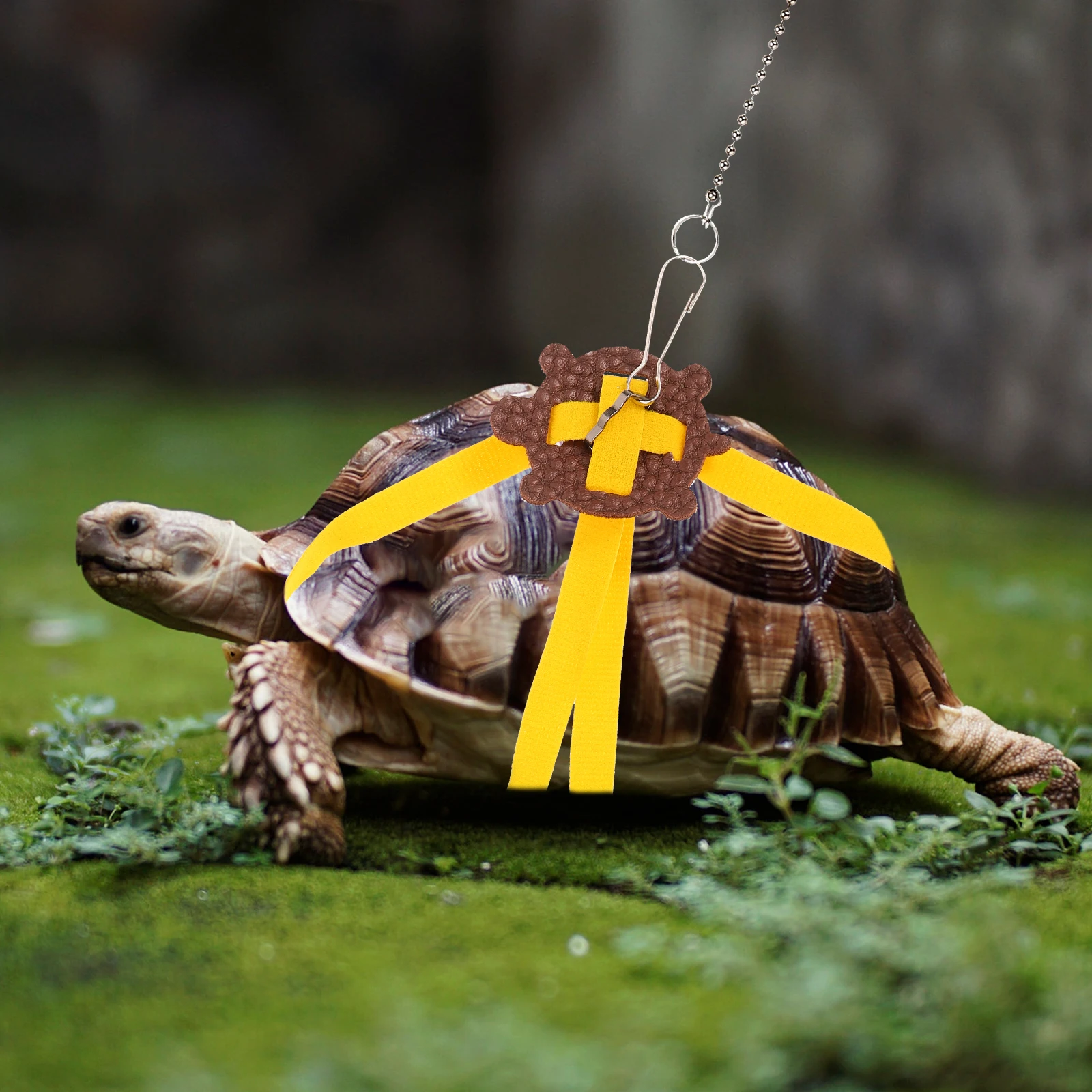 Turtle Leash Reptile Traction Rope Small Harness Training Lead Yellow Pet Drag Ring Collar leash reptile pet supplies
Turtle Leash Reptile Traction Rope Small Harness Training Lead Yellow Pet Drag Ring Collar leash reptile pet supplies
