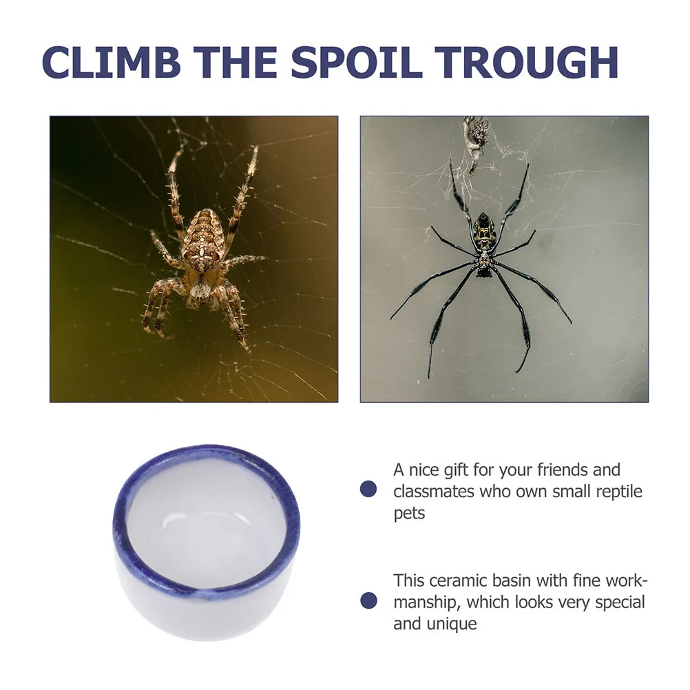 24Pcs Small Reptile Water Bowls Mini Ceramic Basins Stable Feeder for Spiders Mini Lizards Food Dish
24Pcs Small Reptile Water Bowls Mini Ceramic Basins Stable Feeder for Spiders Mini Lizards Food Dish