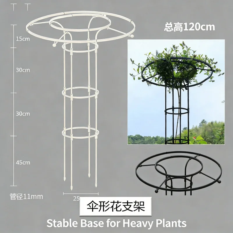 Umbrella Shaped Mushroom Head Garden Trellis Climbing Plant Support for Rose Clematis Vine Potted Flower Rack Outdoor Indoor Use
Umbrella Shaped Mushroom Head Garden Trellis Climbing Plant Support for Rose Clematis Vine Potted Flower Rack Outdoor Indoor Use