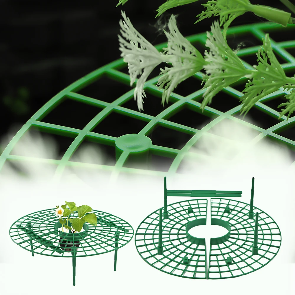 1-10pcs Garden Strawberry Plants Support Stand Frame Holder Balcony Planting Rack Protection Tray Protecting Vine Avoid Ground
1-10pcs Garden Strawberry Plants Support Stand Frame Holder Balcony Planting Rack Protection Tray Protecting Vine Avoid Ground