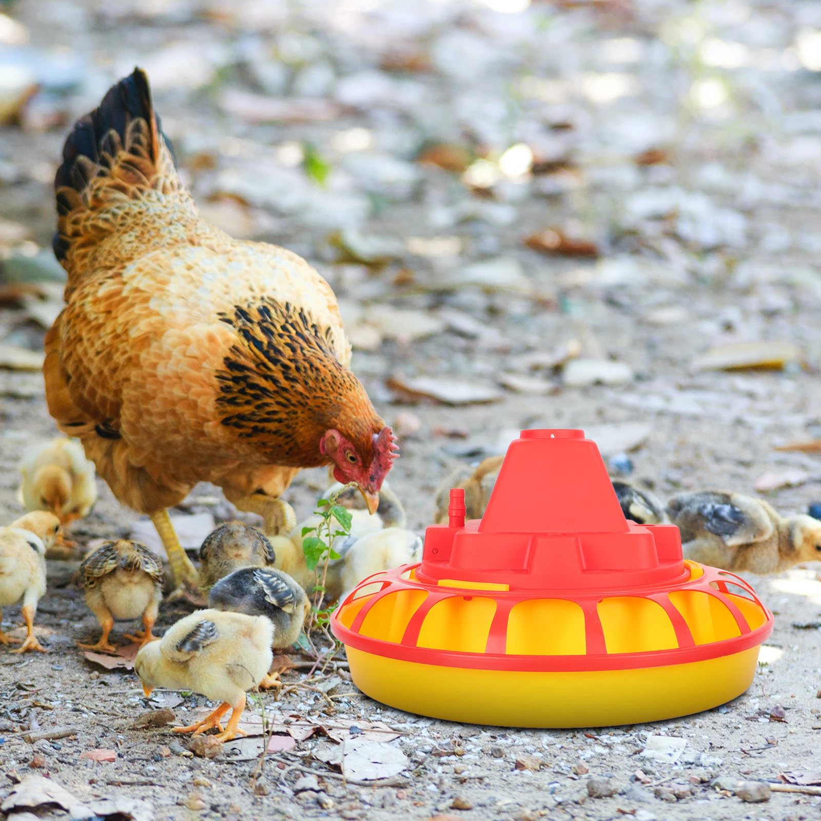 2 pcs Automatic Chicken Water Feeder Durable Plastic Poultry Feeder for Chick Quail Parrot Farm Livestock Supplies Easy Clean
2 pcs Automatic Chicken Water Feeder Durable Plastic Poultry Feeder for Chick Quail Parrot Farm Livestock Supplies Easy Clean