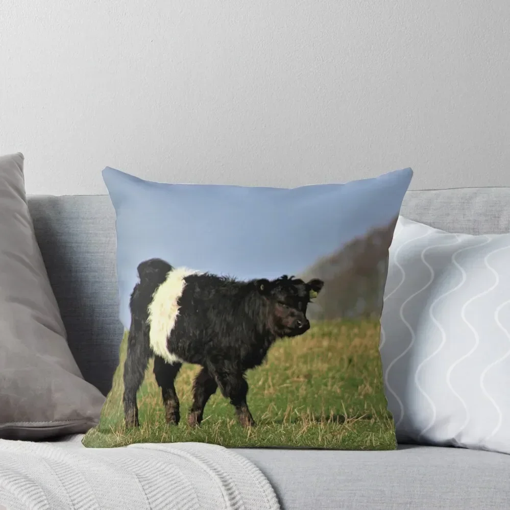 Belted Galloway Calf Throw Pillow Bed pillowcases Pillowcases Bed Cushions Luxury Cushion Cover home decor items pillow
Belted Galloway Calf Throw Pillow Bed pillowcases Pillowcases Bed Cushions Luxury Cushion Cover home decor items pillow