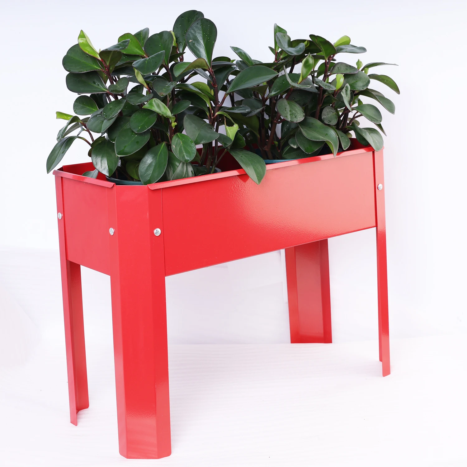 Metal Elevated Garden Bed for Backyard & Terrace - Large Flowerpot for Vegetables and Flowers
Metal Elevated Garden Bed for Backyard & Terrace - Large Flowerpot for Vegetables and Flowers