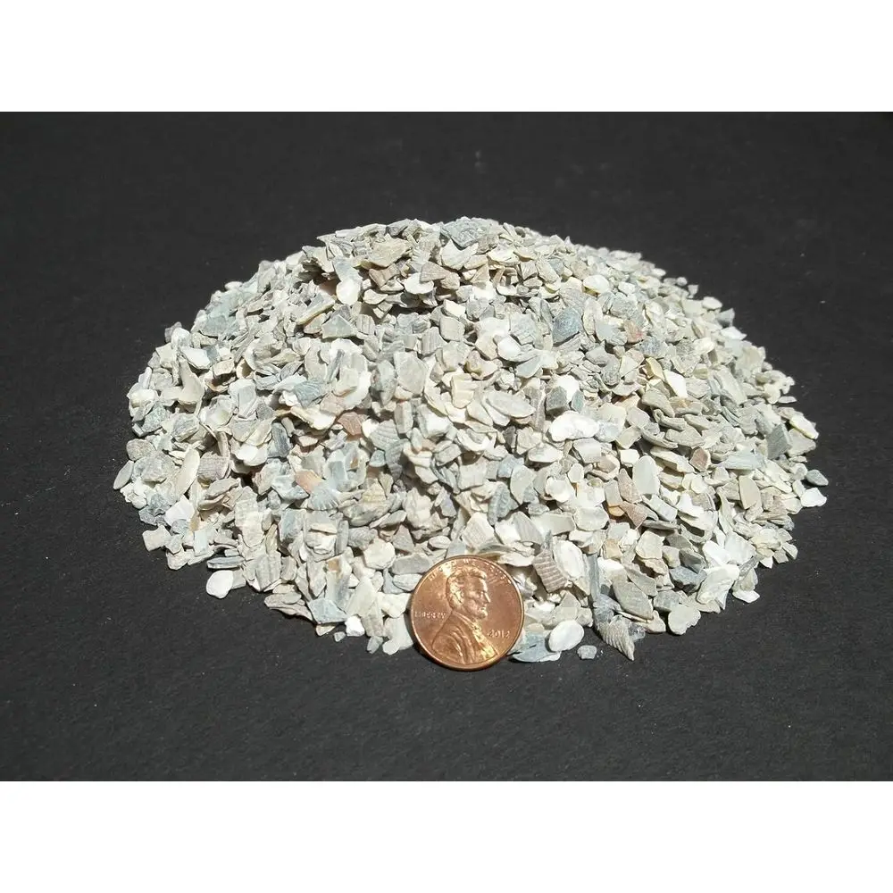 Измельченная ракушка среднего качества для грунта для саженцев кактусов, мешок 20 фунтов
Измельченная ракушка среднего качества для грунта для саженцев кактусов, мешок 20 фунтов