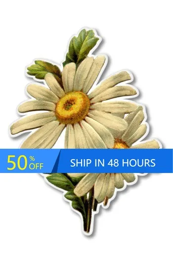 Daisies Illustration Phone Funny Laptop Truck Window Car Waterproof Vinyl Decal Gift Trendy Vintage Cute Aesthetic
Daisies Illustration Phone Funny Laptop Truck Window Car Waterproof Vinyl Decal Gift Trendy Vintage Cute Aesthetic