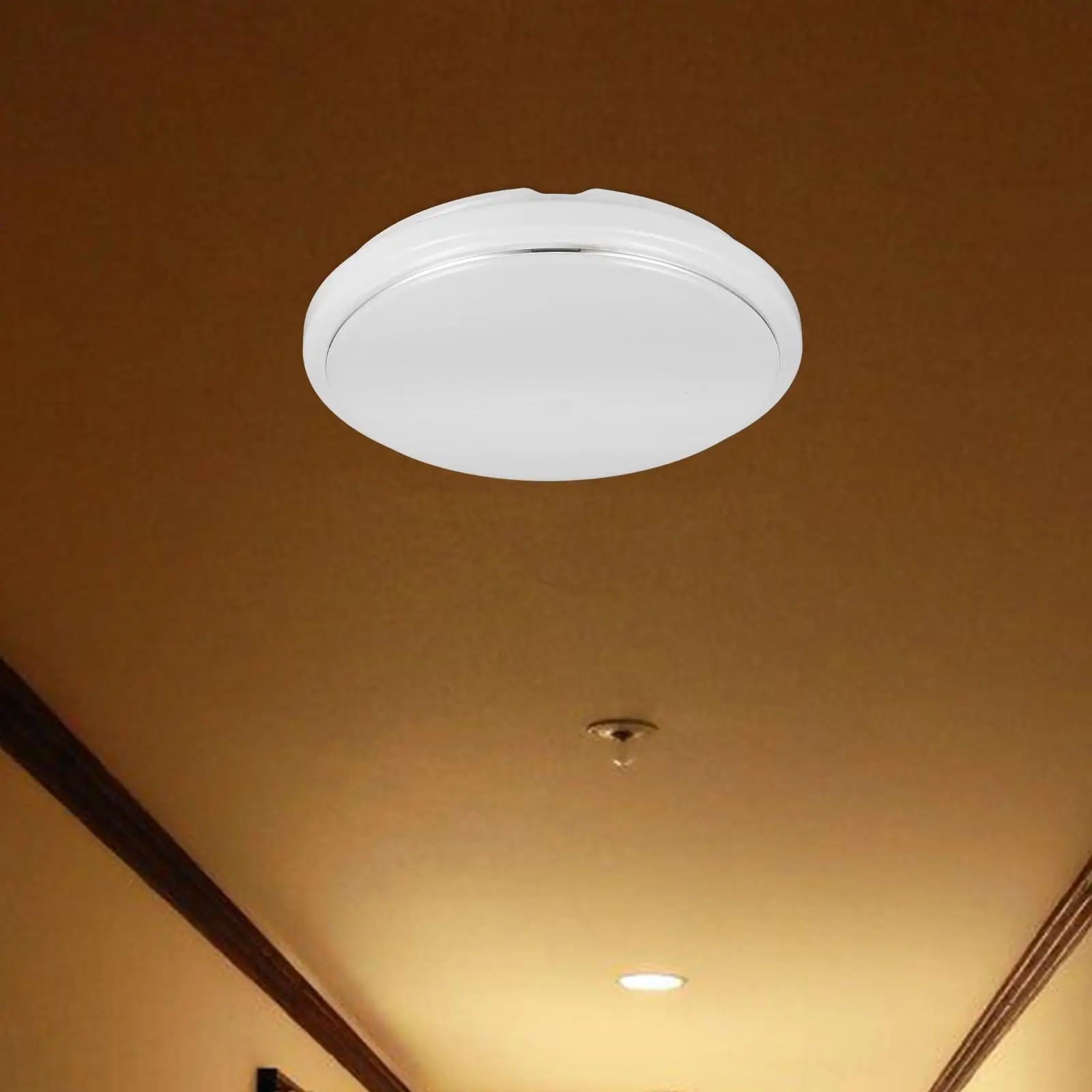 Ceiling Light Accessories PVC Lamp Cover Round Plate Clip On Durable Bedroom Balcony Kitchen Bathroom Office Lighting Soft Glare
Ceiling Light Accessories PVC Lamp Cover Round Plate Clip On Durable Bedroom Balcony Kitchen Bathroom Office Lighting Soft Glare