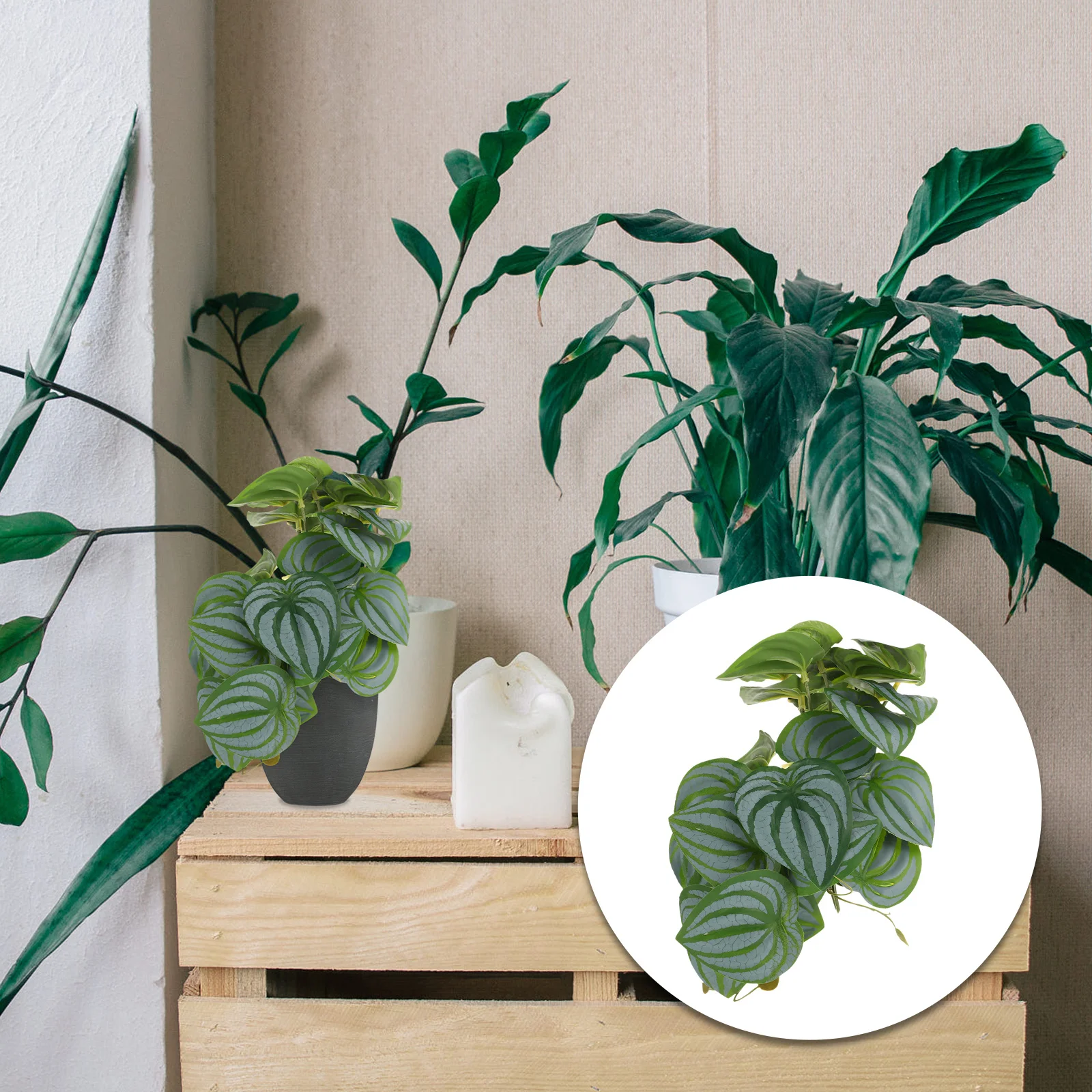 Artificial Small Plant Faux Mini Plastic Simulation Watermelon Leaves Indoor Office Decor Desktop Fake Greenery 
Artificial Small Plant Faux Mini Plastic Simulation Watermelon Leaves Indoor Office Decor Desktop Fake Greenery