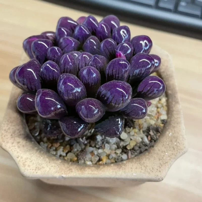 1 Set Complete Upgrade Parts Kit for 1/18 WLtoys A959-B A969-B A979-B K929-B Electric RC Car Off Road Buggy Metal Replacement
1 Set Complete Upgrade Parts Kit for 1/18 WLtoys A959-B A969-B A979-B K929-B Electric RC Car Off Road Buggy Metal Replacement