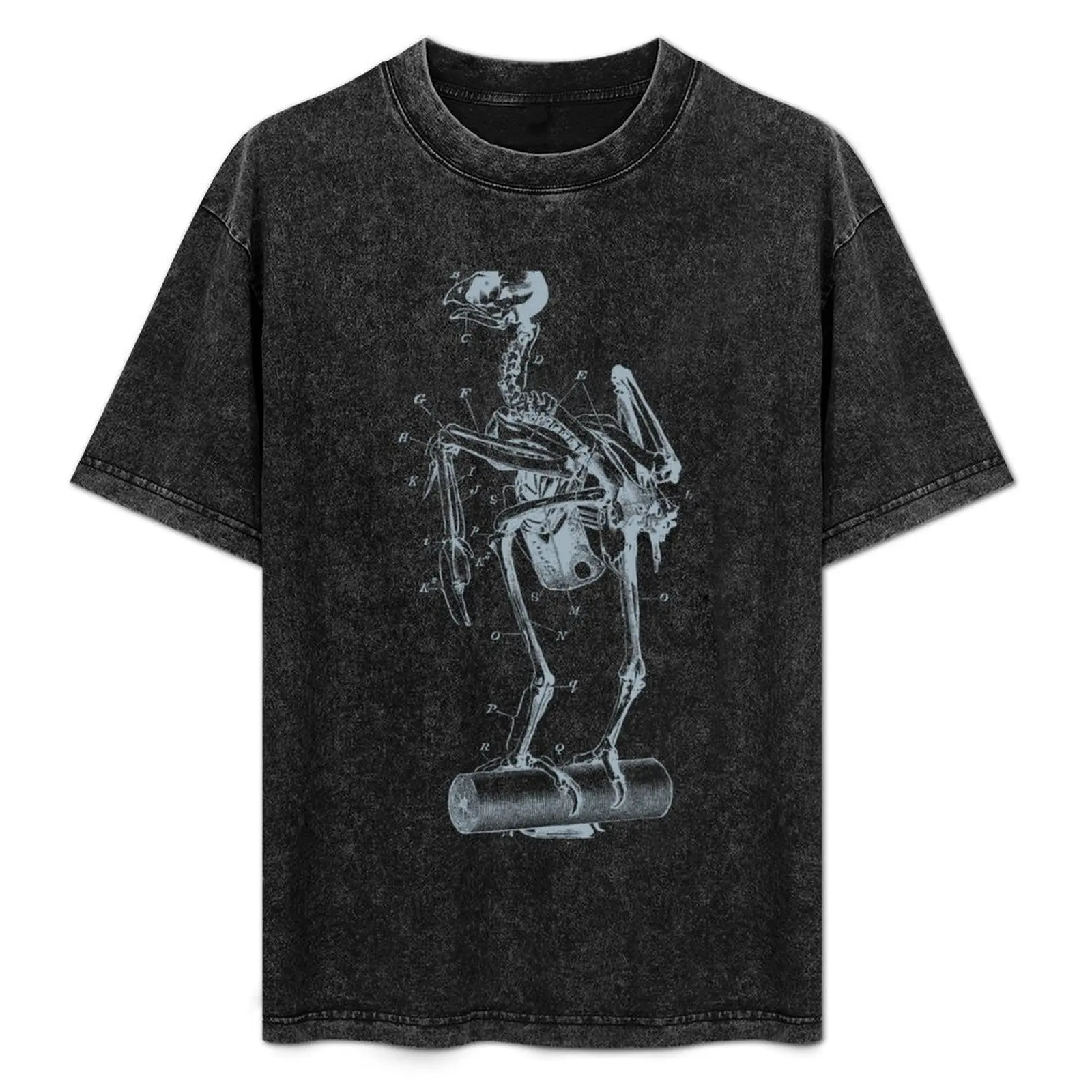 Skelly Bird (Light) T-Shirt Ultra Soft Breathable Tee Top
Skelly Bird (Light) T-Shirt Ultra Soft Breathable Tee Top