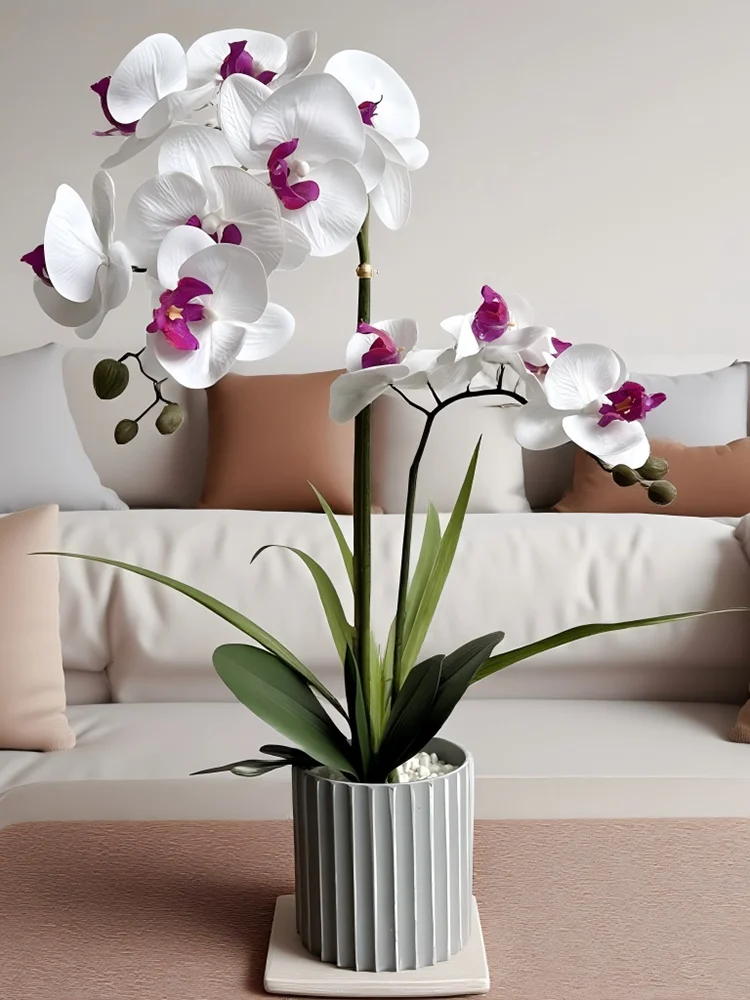 Phalaenopsis Potted Bonsai Fake Flower With Leaf Potted Plant Fake Orchid Flower Arrangement Living Room Indoor Decoration
Phalaenopsis Potted Bonsai Fake Flower With Leaf Potted Plant Fake Orchid Flower Arrangement Living Room Indoor Decoration