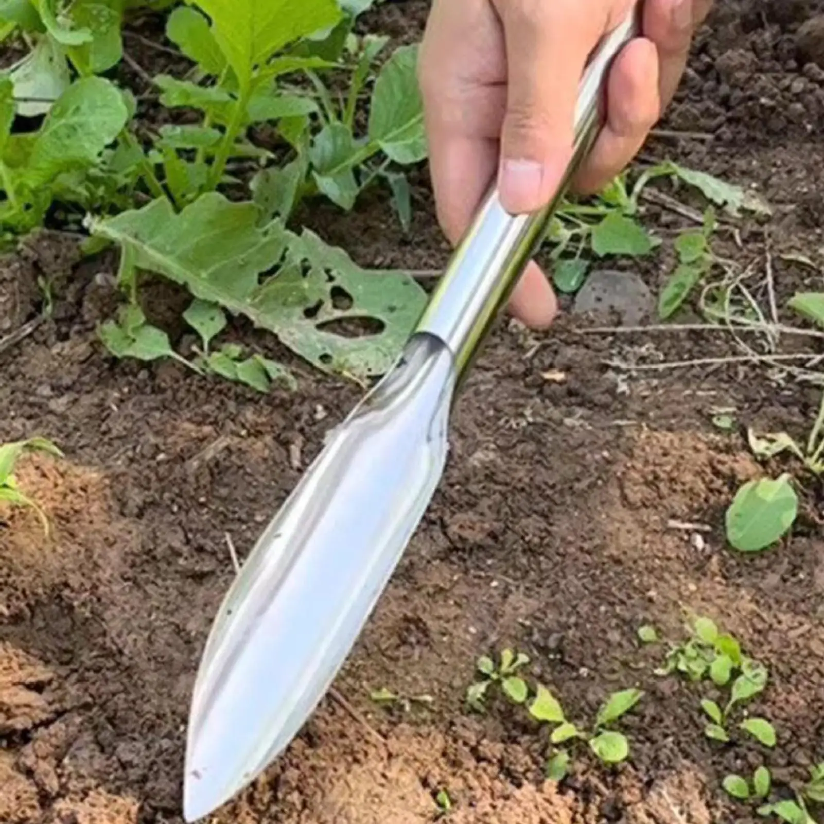 Soil Scoop Stainless Steel Planting Trowel Garden Scoop For Outdoor Yard Lawn Patio Balcony Farm Orchard Greenhouse Landscaping
Soil Scoop Stainless Steel Planting Trowel Garden Scoop For Outdoor Yard Lawn Patio Balcony Farm Orchard Greenhouse Landscaping