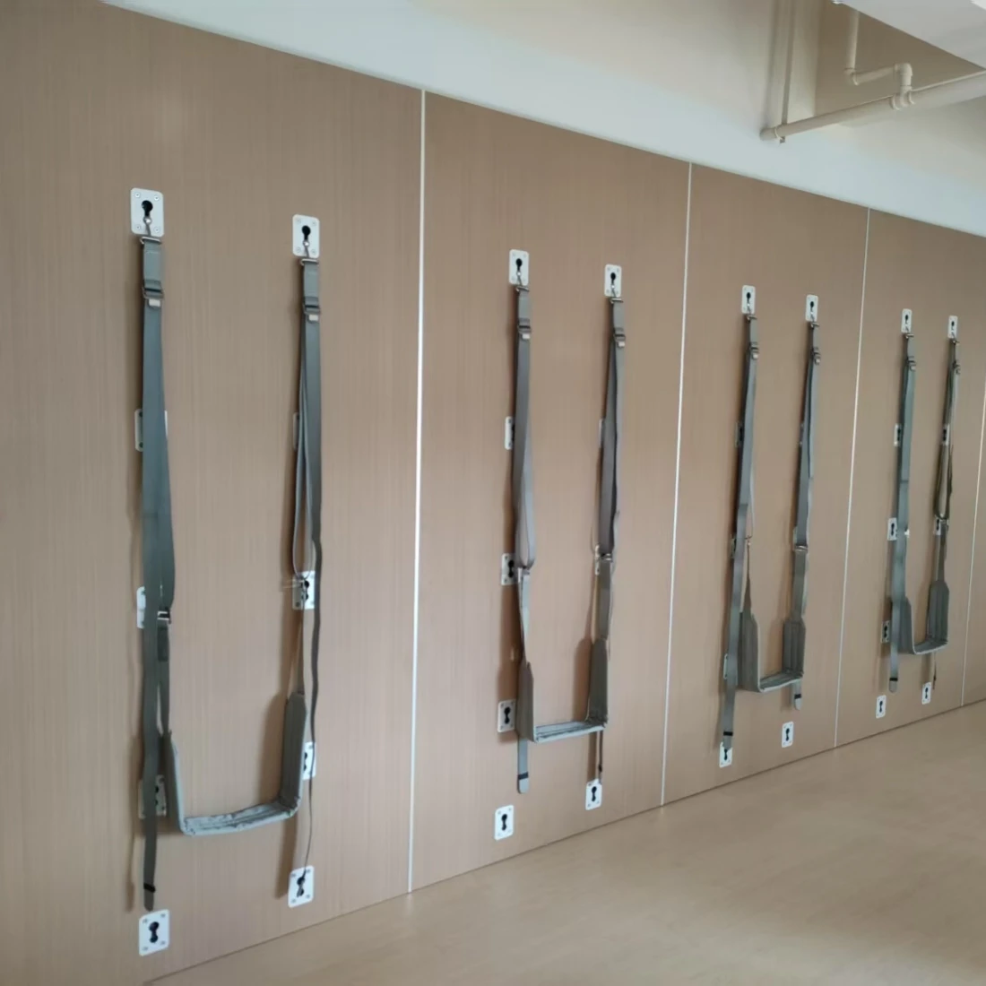 Iyengar Yoga Wall Ropes Essential Fitness Gear New Design Pilates Wall Yoga Strap Comfortable Waist Belt For Wall Yoga & Pilates
Iyengar Yoga Wall Ropes Essential Fitness Gear New Design Pilates Wall Yoga Strap Comfortable Waist Belt For Wall Yoga & Pilates