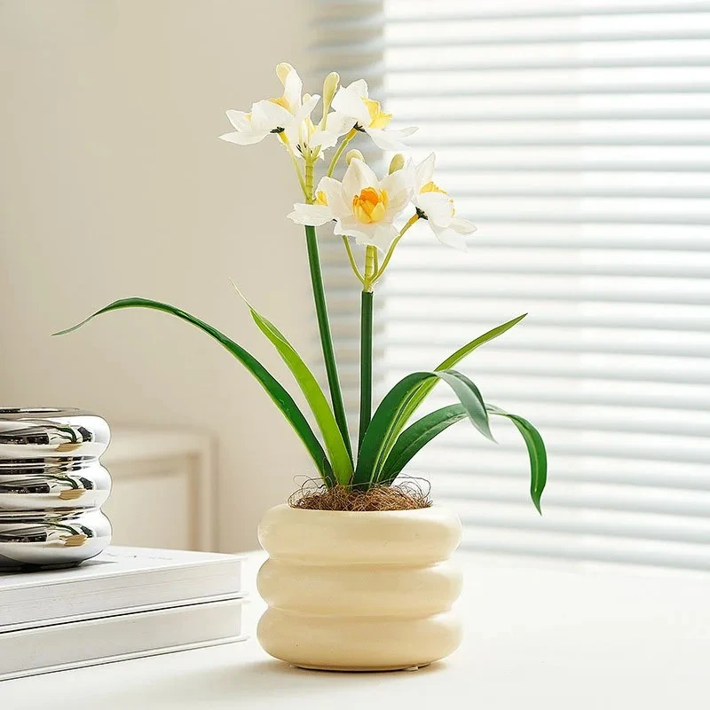Solid Color Creative Donut Ceramic Flower Pot Tabletop Ceramic Flower Ware Green Plant Succulent Vessel Aesthetic Decoration
Solid Color Creative Donut Ceramic Flower Pot Tabletop Ceramic Flower Ware Green Plant Succulent Vessel Aesthetic Decoration