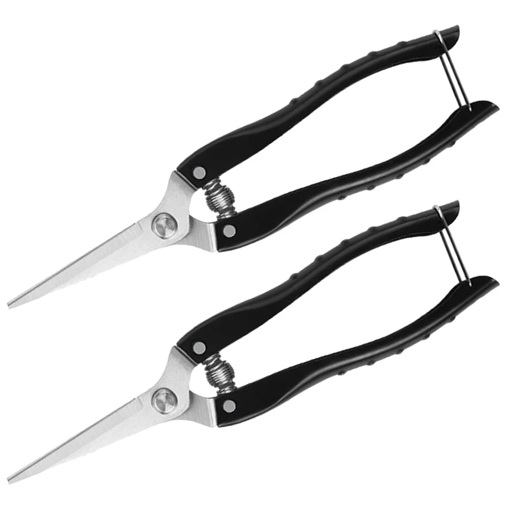 2 Pcs Gardening Hand Tools Strong Clippers Trimming Scissors Pruners for Shears Pruning
2 Pcs Gardening Hand Tools Strong Clippers Trimming Scissors Pruners for Shears Pruning