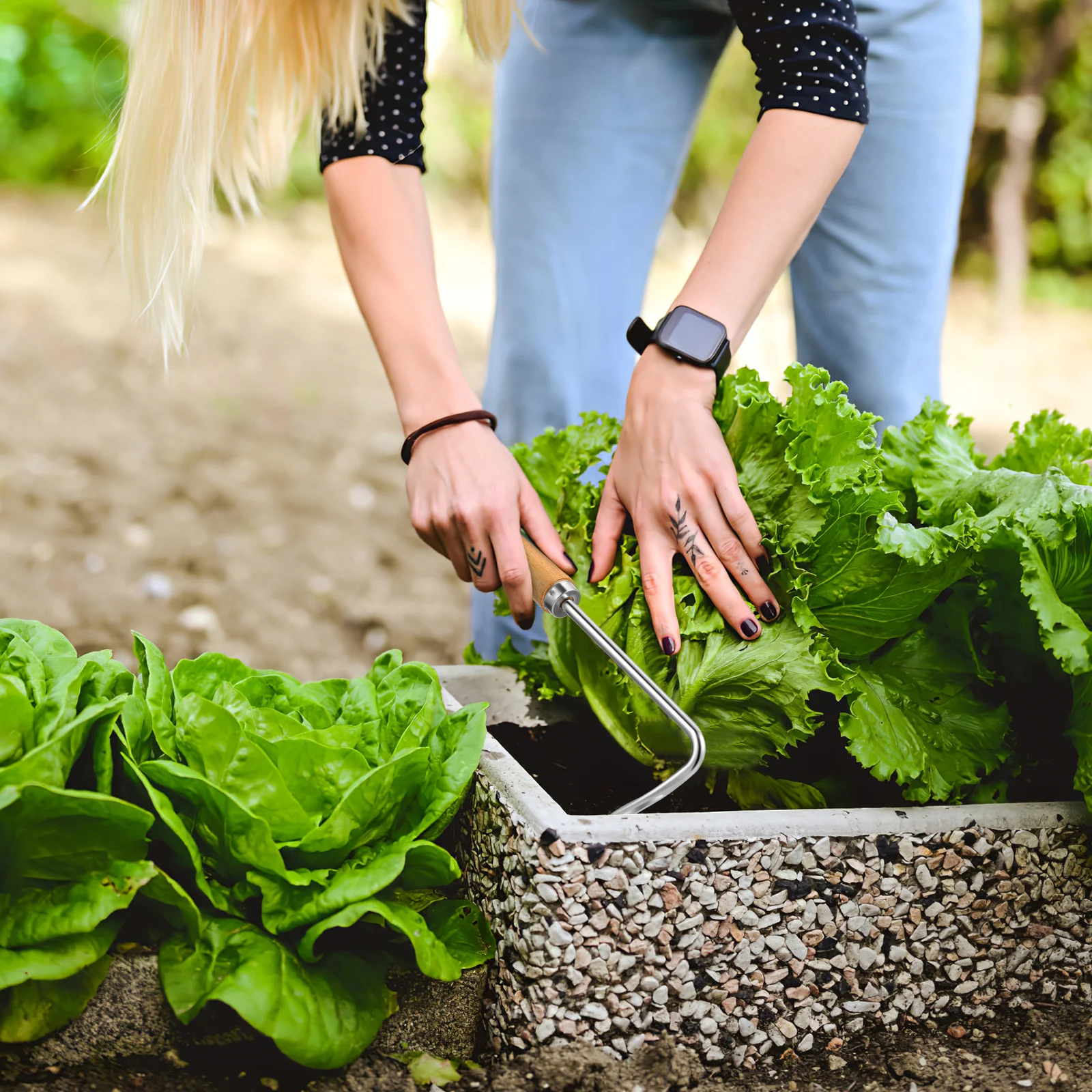 2pcs Weeder Puller Stainless Steel V-Shaped Fork Garden Hand Tool For Root Weeding Transplanting Wooden Handle Lawn Care Tool
2pcs Weeder Puller Stainless Steel V-Shaped Fork Garden Hand Tool For Root Weeding Transplanting Wooden Handle Lawn Care Tool