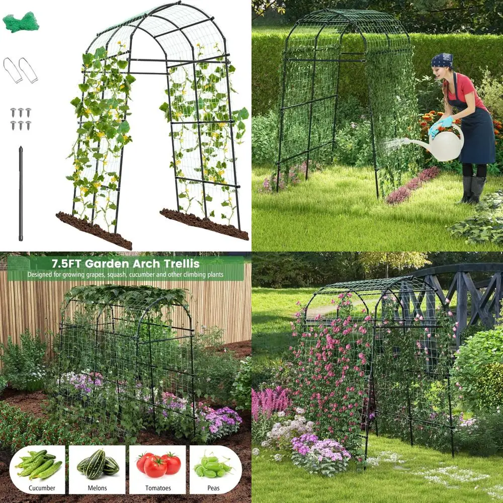 Металлическая садовая решетка для вьющихся лоз, опора для растений высотой 7,5 футов с сеткой, уличная овощная решетка для огурцов
Металлическая садовая решетка для вьющихся лоз, опора для растений высотой 7,5 футов с сеткой, уличная овощная решетка для огурцов