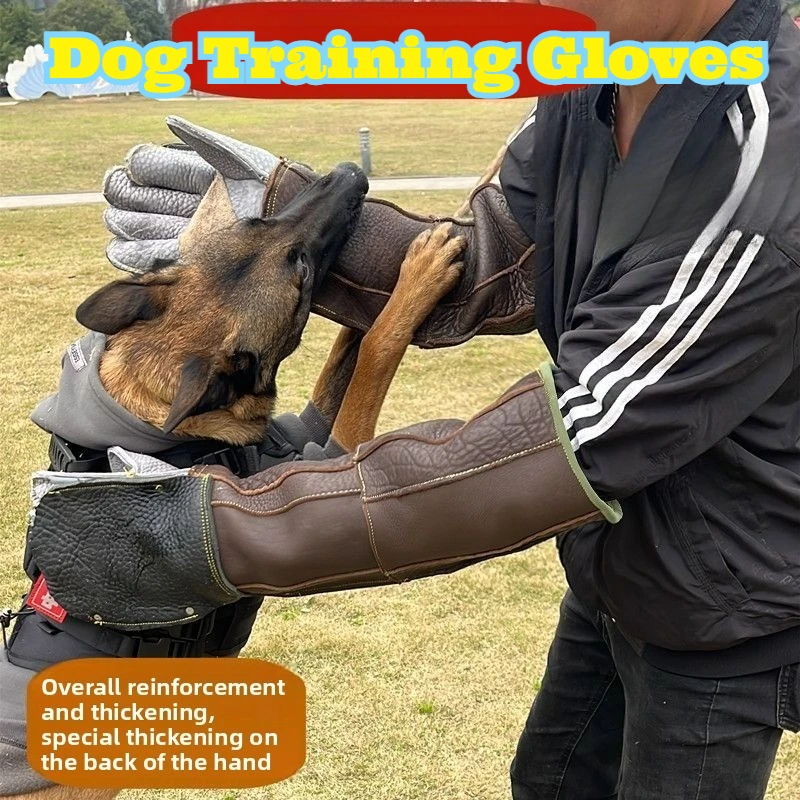 Thickened Genuine Cowhide Anti Bite Anti Scratch Gloves Extra Long Medium Large Dogs Cat Training Handling Catching Protective
Thickened Genuine Cowhide Anti Bite Anti Scratch Gloves Extra Long Medium Large Dogs Cat Training Handling Catching Protective