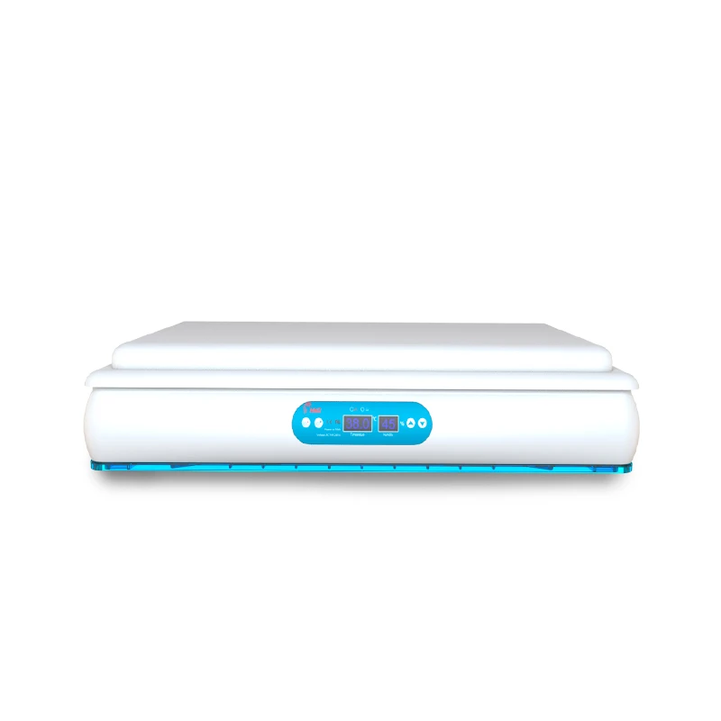 Hot Selling 120 Eggs Homemade Constant Temperature Humidity Incubator for Sale in China
Hot Selling 120 Eggs Homemade Constant Temperature Humidity Incubator for Sale in China