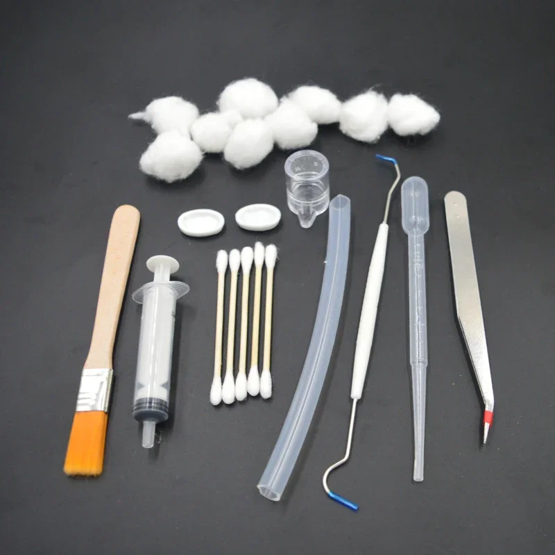 DIY Acrylic Ant Farm Tools Set with Food Water Feeder Ant Nest Accessories Ants House Workshop Pet Anthill Toolkit
DIY Acrylic Ant Farm Tools Set with Food Water Feeder Ant Nest Accessories Ants House Workshop Pet Anthill Toolkit