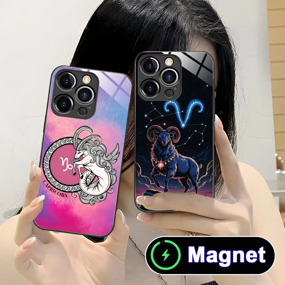 Zodiac Sign Capricorn Phone Case for iPhone 17 16 15 14 13 12 11 Air Pro Max Plus Mini Glass Magnet Cover
Zodiac Sign Capricorn Phone Case for iPhone 17 16 15 14 13 12 11 Air Pro Max Plus Mini Glass Magnet Cover