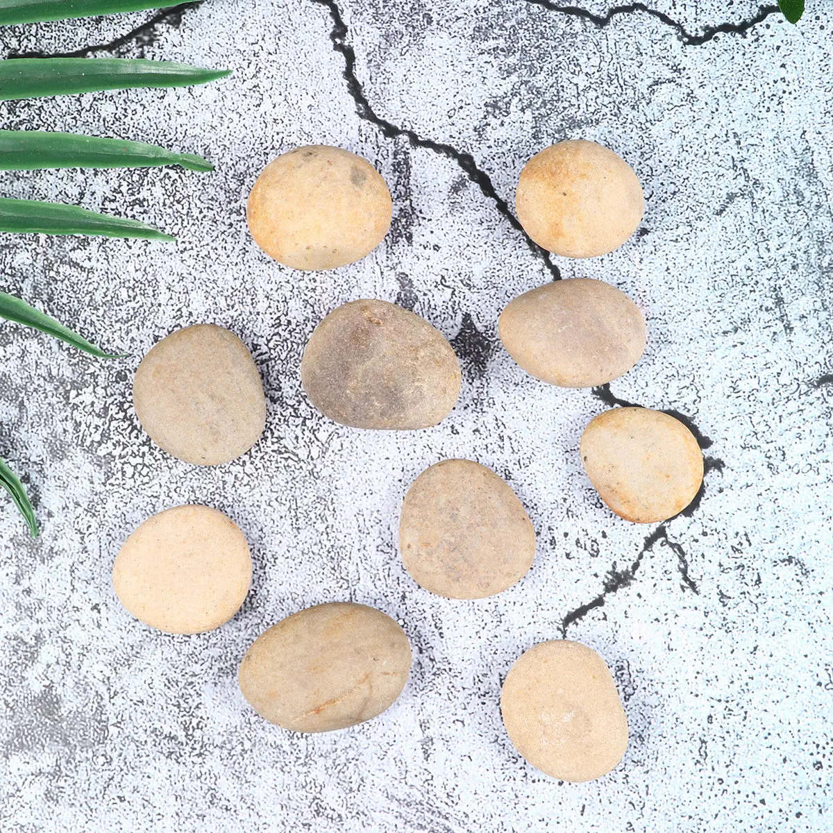 1Set DIY Painting Stones Natural Pebbles Set 10 Smooth Stones 3-4Cm 1 Bracket Creative Hand-Painted Rocks School
1Set DIY Painting Stones Natural Pebbles Set 10 Smooth Stones 3-4Cm 1 Bracket Creative Hand-Painted Rocks School