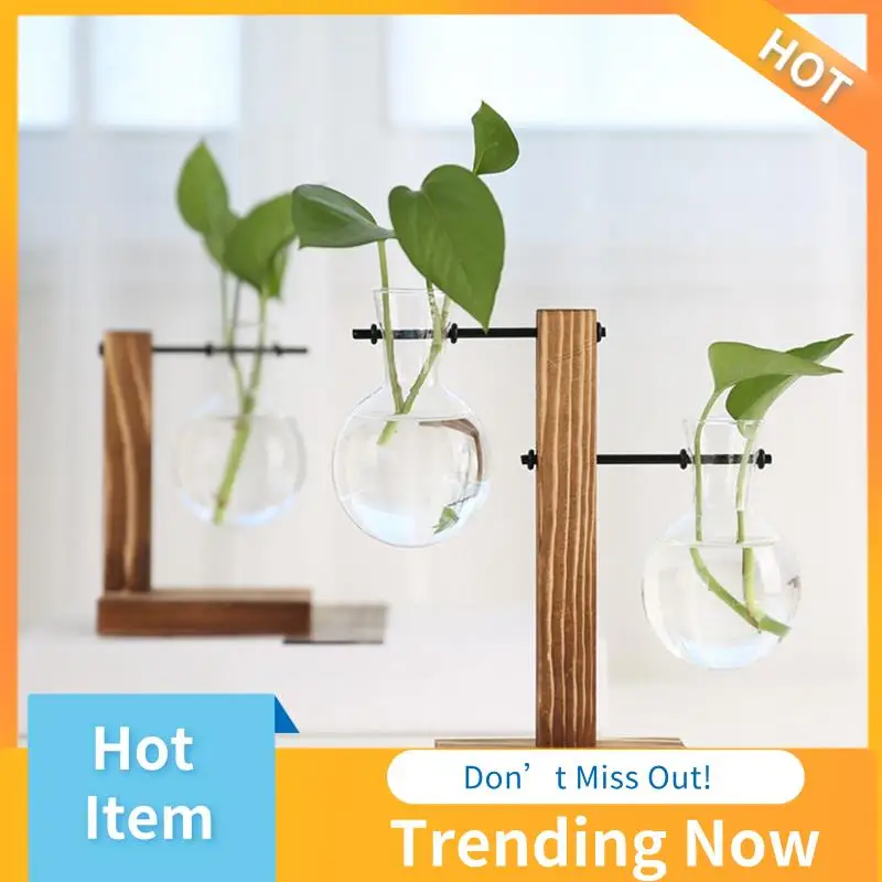 A Plant Propagation Stations Desktop Plant Terrarium,Glass Planter With Stand,Propagation Station For Hydroponics Plants Durable
A Plant Propagation Stations Desktop Plant Terrarium,Glass Planter With Stand,Propagation Station For Hydroponics Plants Durable