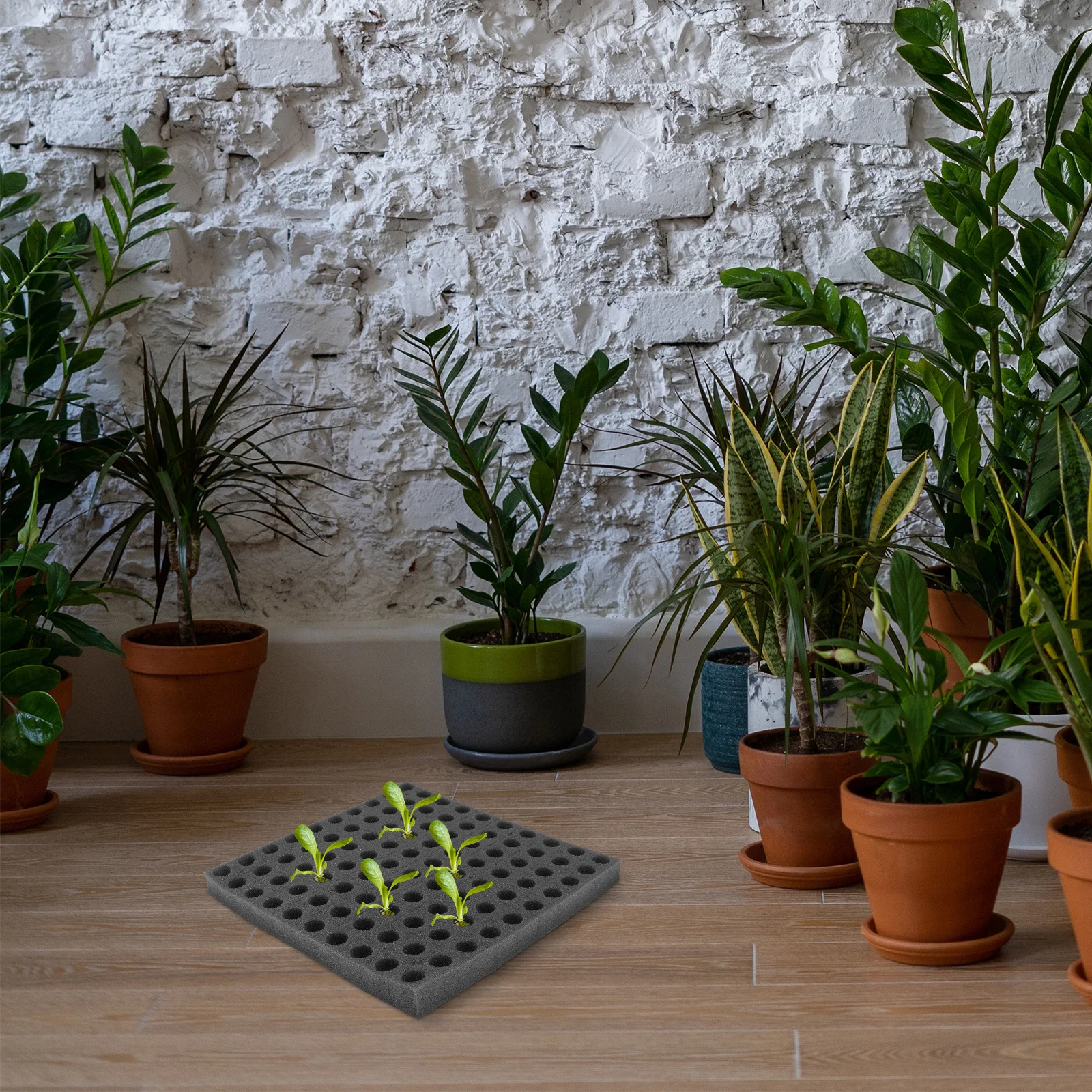 2 Sheets Premium Seed Starting Sponge Blocks for Soil-Free Hydroponic Gardening Tool Vegetable Cultivation Tray Black
2 Sheets Premium Seed Starting Sponge Blocks for Soil-Free Hydroponic Gardening Tool Vegetable Cultivation Tray Black