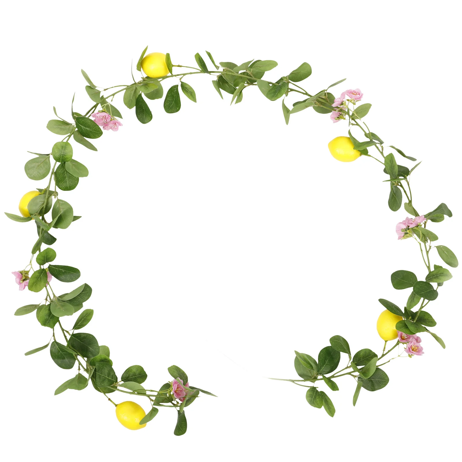 Artificial Lemon Garland Fake Lemon Vine Pendant with Flowers Leaves Hanging Decor for Wall Door Table Kitchen Home Decoration
Artificial Lemon Garland Fake Lemon Vine Pendant with Flowers Leaves Hanging Decor for Wall Door Table Kitchen Home Decoration