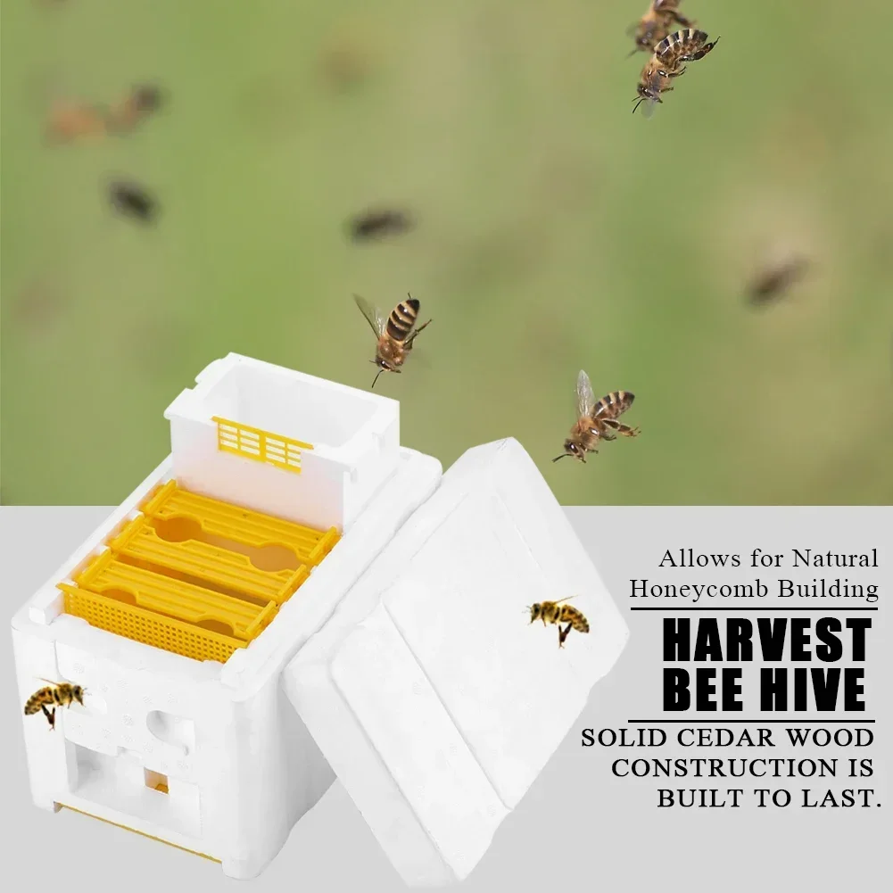 Harvest Bee Hive Beekeeping King Box Pollination Box Beekeeping Tool
Harvest Bee Hive Beekeeping King Box Pollination Box Beekeeping Tool