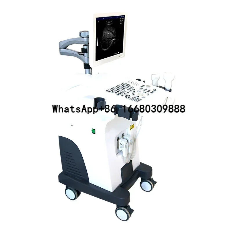 Veterinary B-Ultrasound Machine Ultrasound Scanner Portable Ultrasound Handheld
Veterinary B-Ultrasound Machine Ultrasound Scanner Portable Ultrasound Handheld