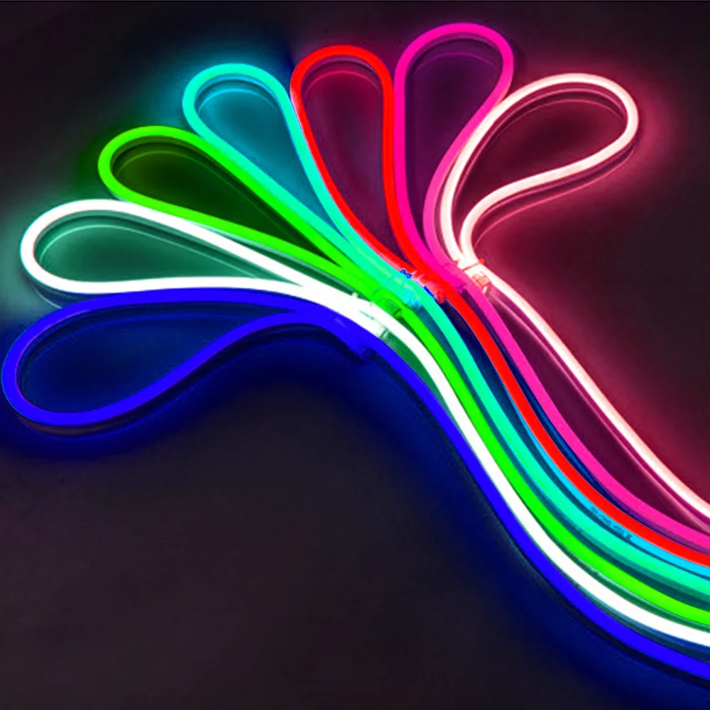 12V 24V LED Neon Light Strip Waterproof Neon Sign 6X12mm Silicone Rope Lights Flexible Lamp Decoration with DC Plug/2pin Wire
12V 24V LED Neon Light Strip Waterproof Neon Sign 6X12mm Silicone Rope Lights Flexible Lamp Decoration with DC Plug/2pin Wire