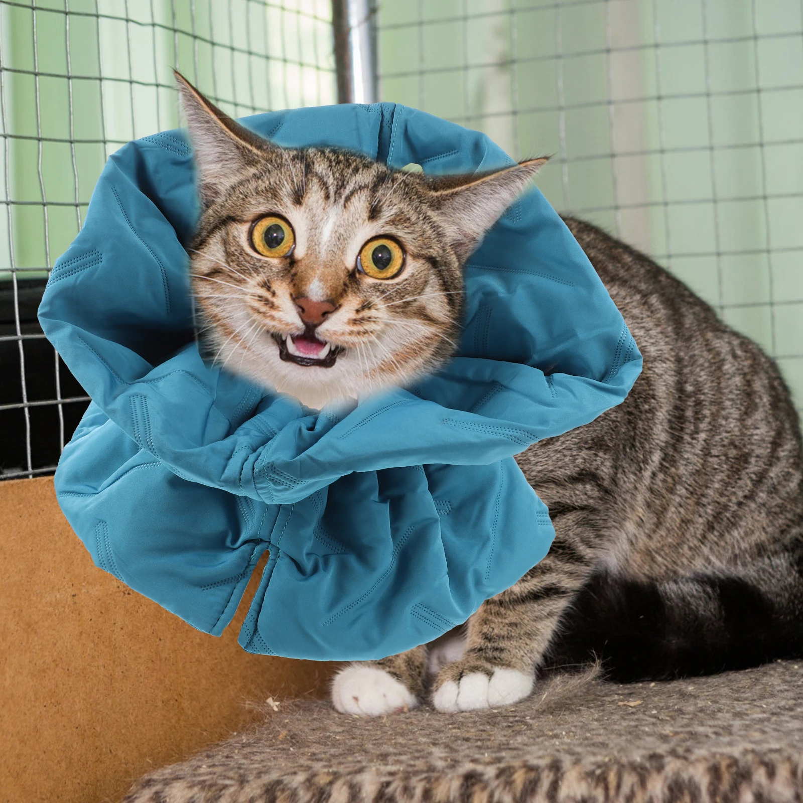 Polyester Cat Elizabeth Collar Comfortable Recovery Cone Kitten Cones Light Adjustable Straps Breathing Durable Pets Protection
Polyester Cat Elizabeth Collar Comfortable Recovery Cone Kitten Cones Light Adjustable Straps Breathing Durable Pets Protection