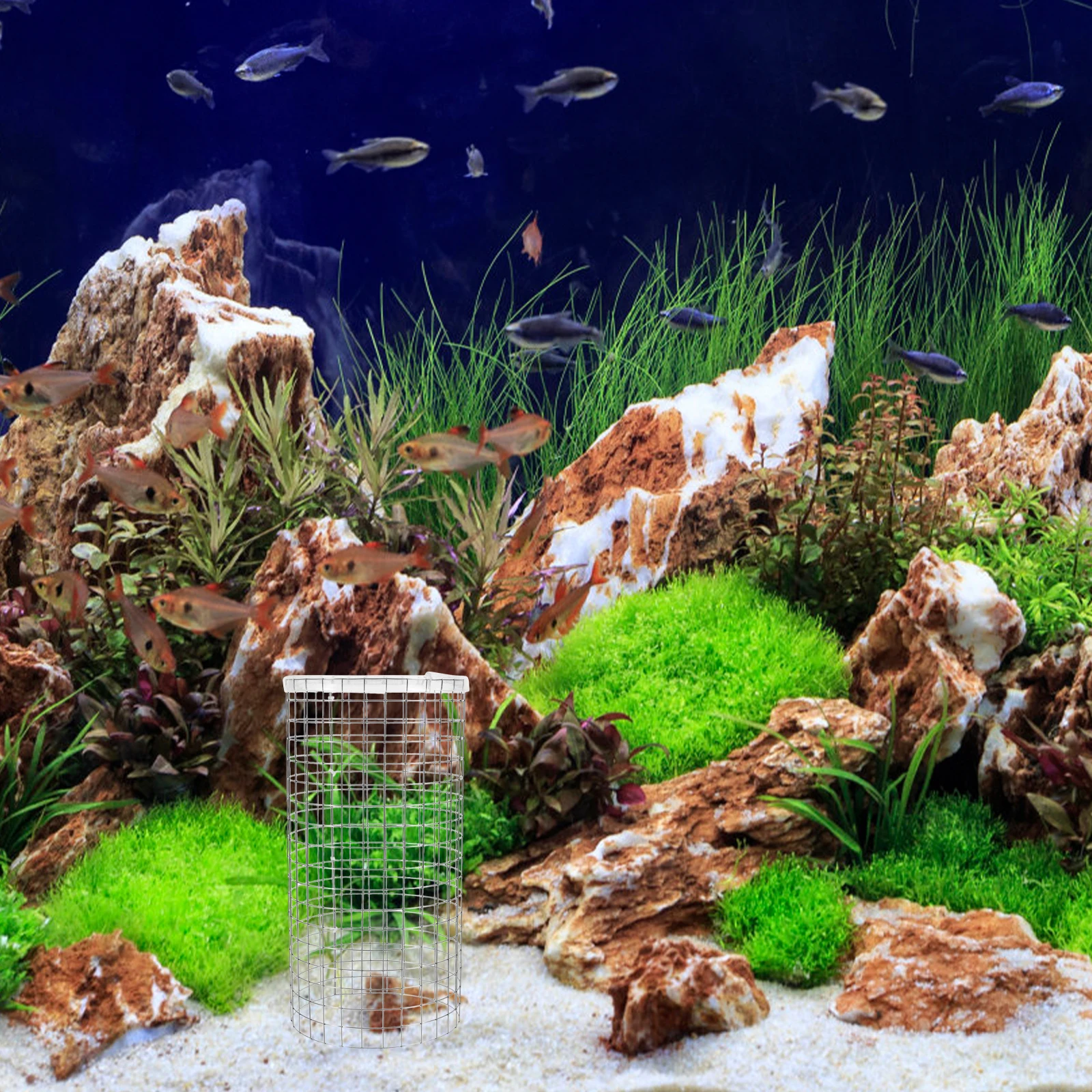 Angelfish Spawning Cone Grid Iron Fish Breeding Bucket For Aquarium Decoration Shrimp Breeding Tank Ornament
Angelfish Spawning Cone Grid Iron Fish Breeding Bucket For Aquarium Decoration Shrimp Breeding Tank Ornament