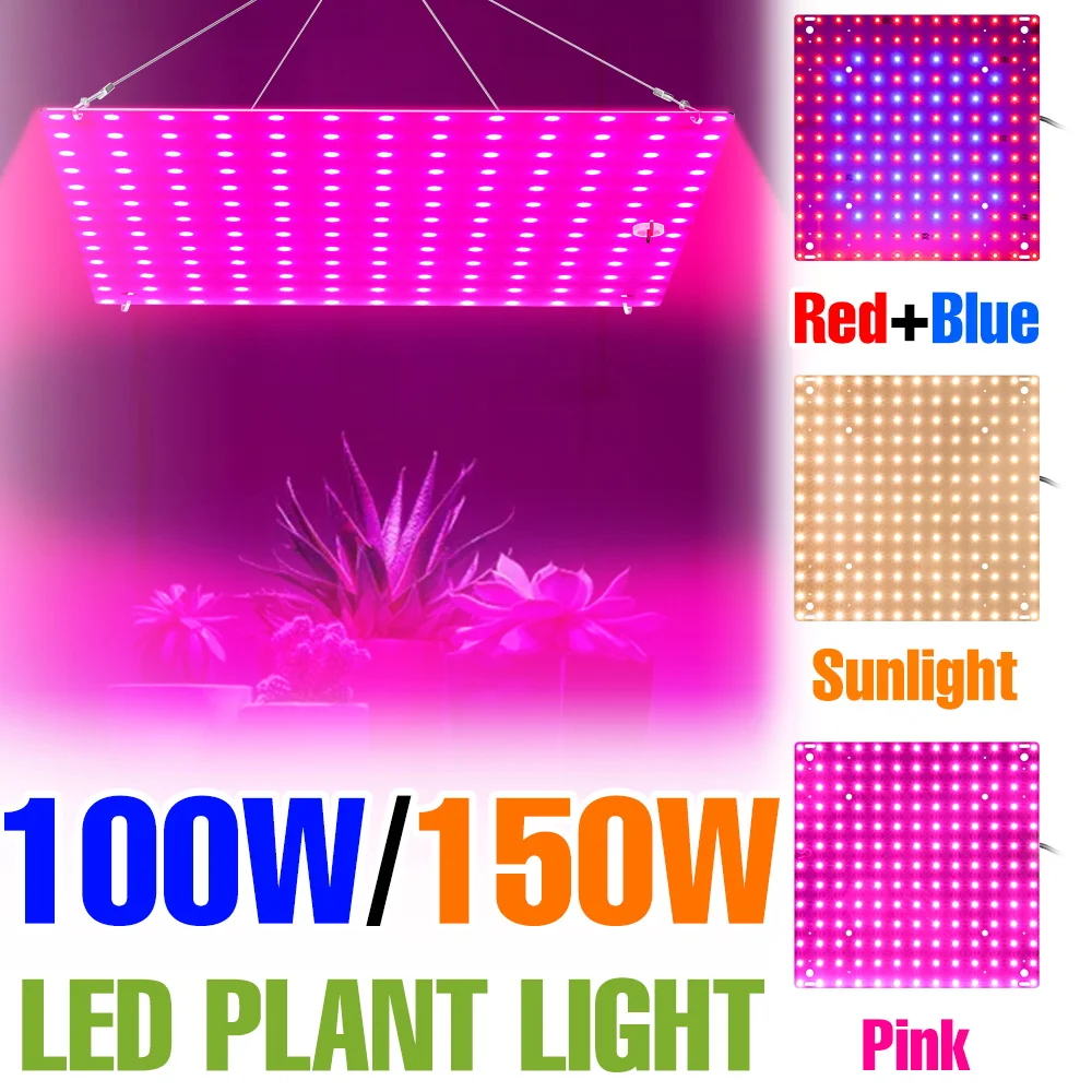 Светодиодные фитолампы 150 Вт, полный спектр, 220 В, Quantum Plate, для растений, комнатных цветов, суккулентов, в горшках, для выращивания, вилка US/EU
Светодиодные фитолампы 150 Вт, полный спектр, 220 В, Quantum Plate, для растений, комнатных цветов, суккулентов, в горшках, для выращивания, вилка US/EU