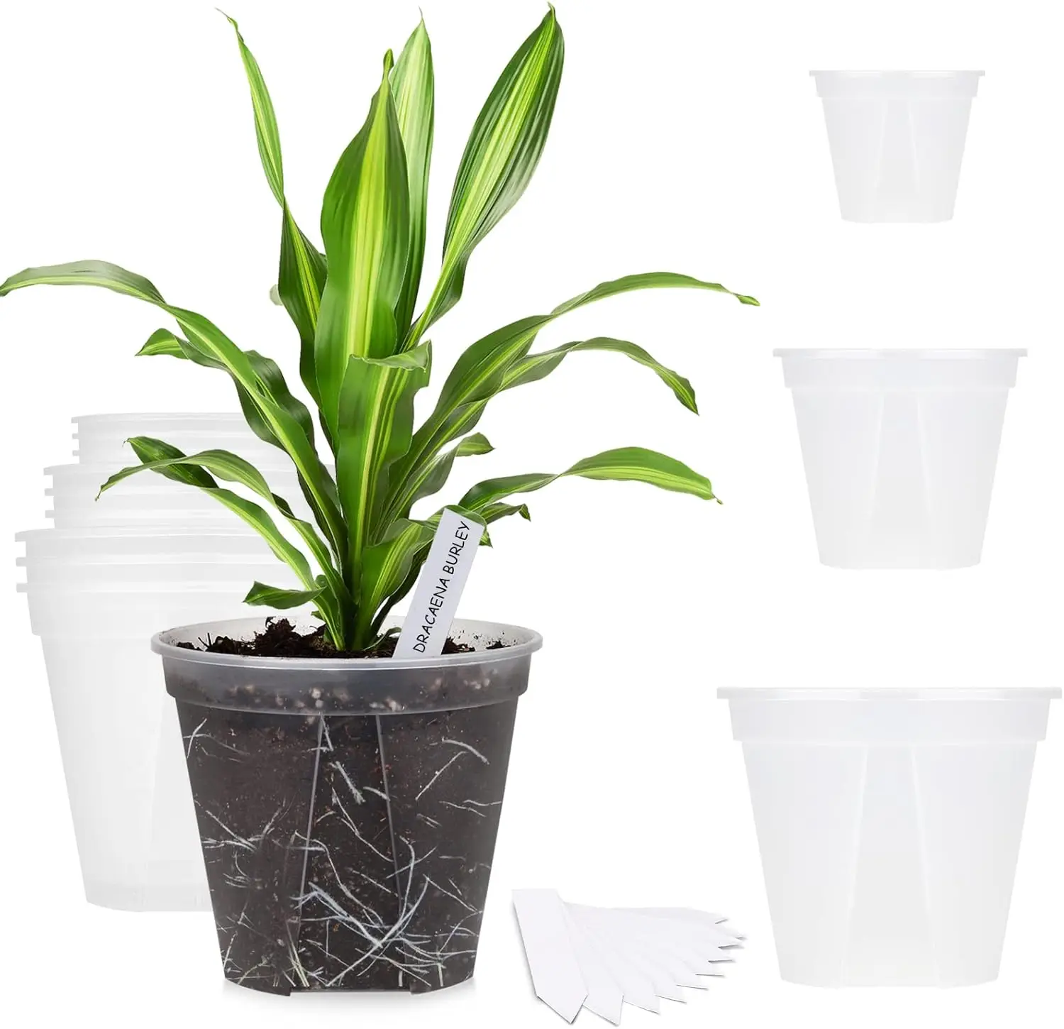 Clear Plastic Planters 4/5/6 inch with Drainage Holes, 10pcs Labels & 12pcs Pots Set for Indoor Plants, Herbs, Flowers, Cactus
Clear Plastic Planters 4/5/6 inch with Drainage Holes, 10pcs Labels & 12pcs Pots Set for Indoor Plants, Herbs, Flowers, Cactus