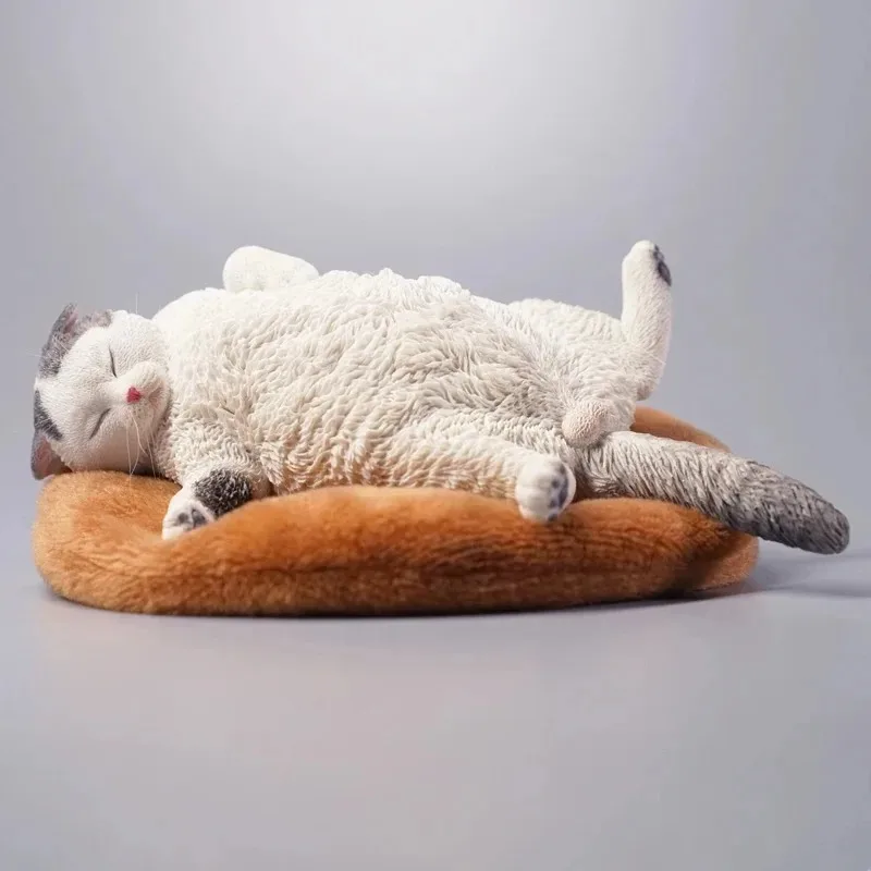 In Stock JXK 1/6 Scale Simulated Sleepy Cat Pet Handmade Model for 12'' Action Trendy Play Doll Desktop Car Decor Collection
In Stock JXK 1/6 Scale Simulated Sleepy Cat Pet Handmade Model for 12'' Action Trendy Play Doll Desktop Car Decor Collection