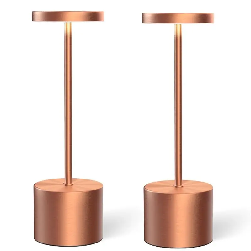 Тренд 2025, спальня, гостиная, бар, ресторан, атмосфера, ночник, Т-образная настольная лампа, металлическая прикроватная лампа с зарядкой через USB
Тренд 2025, спальня, гостиная, бар, ресторан, атмосфера, ночник, Т-образная настольная лампа, металлическая прикроватная лампа с зарядкой через USB