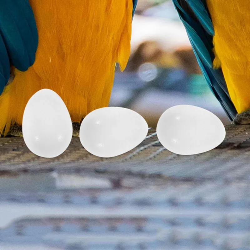 30pcs Fake Pigeon Egg For Incubation And Breeding, Solid Plastic Simulation Egg For Pigeon Egg Management And Training Aid New
30pcs Fake Pigeon Egg For Incubation And Breeding, Solid Plastic Simulation Egg For Pigeon Egg Management And Training Aid New